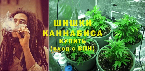 метадон Белокуриха